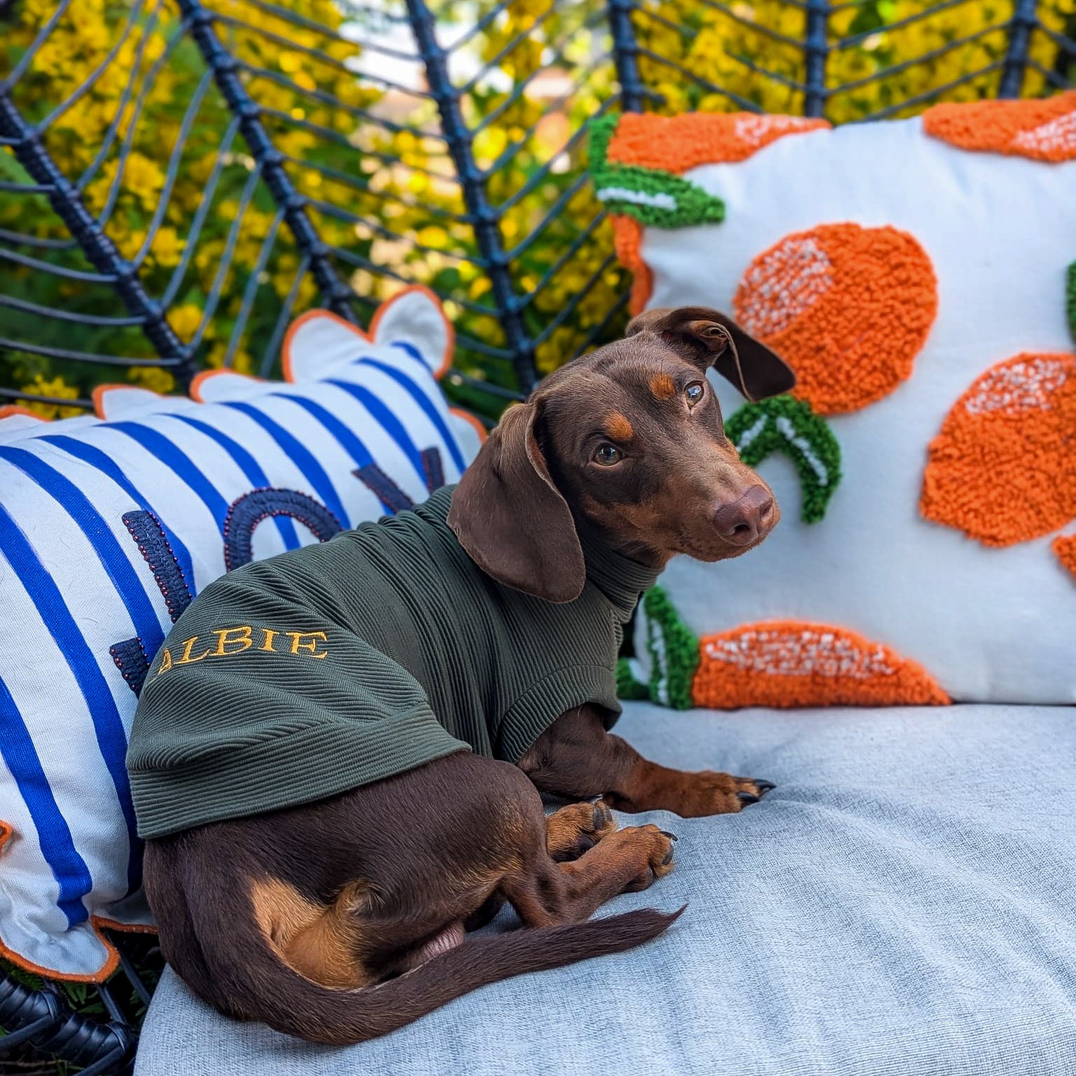 Personalised Dachshund Jumper Back Embroidery – Poppy and Becky