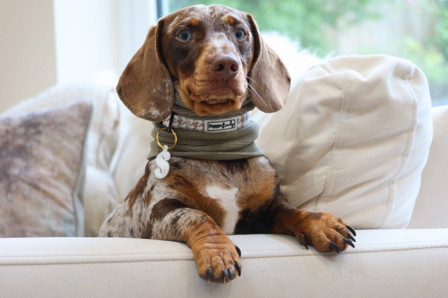 Personalised Ribbed Dog Snood
