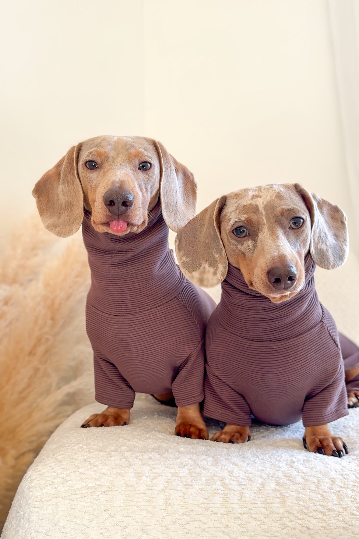 Dinosaur Ribbed Dachshund Bodysuit/Onesie/Four Leg Suit