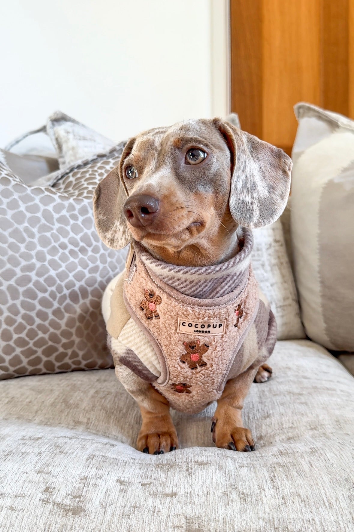 Plaid Dachshund Fleece