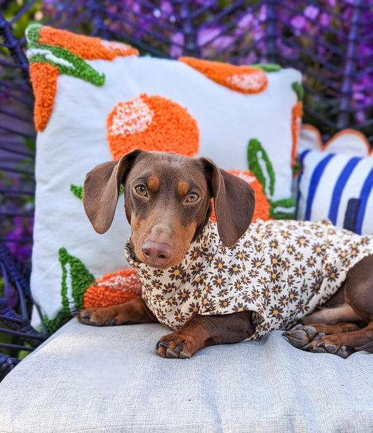Sunflower - Summer Ribbed Dachshund Jumper