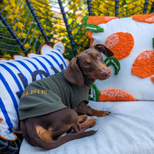 Personalised Back Dachshund Jumper