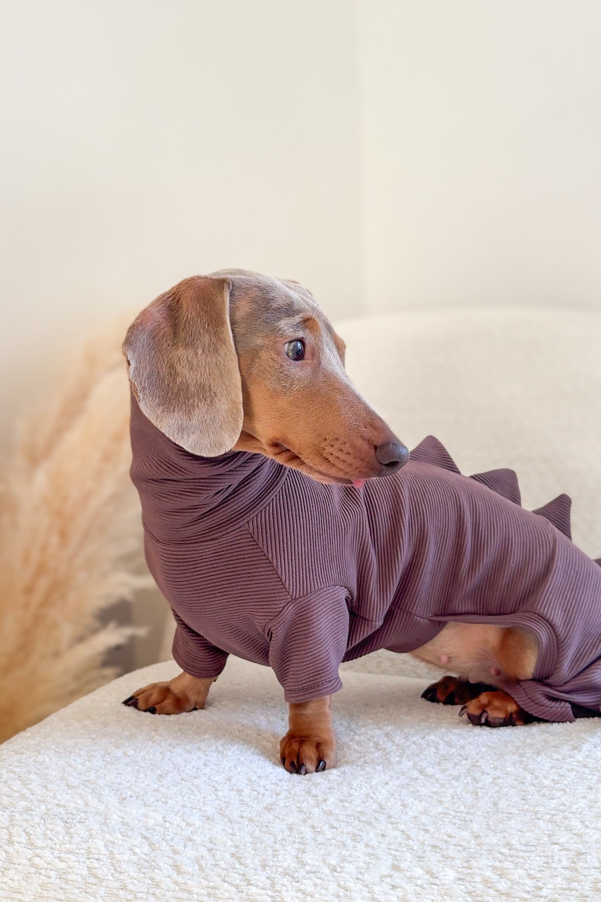 Dinosaur Ribbed Dachshund Bodysuit/Onesie/Four Leg Suit