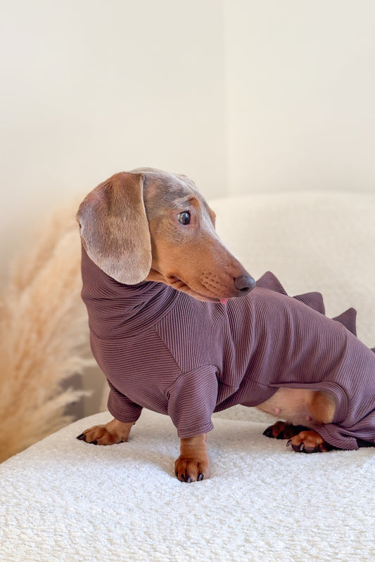 Dinosaur Ribbed Dachshund Bodysuit/Onesie/Four Leg Suit
