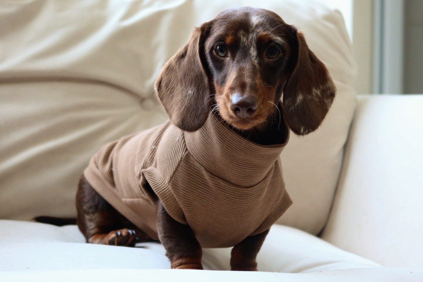 Sable Ribbed Dachshund Jumper - Black Friday Limited Edition