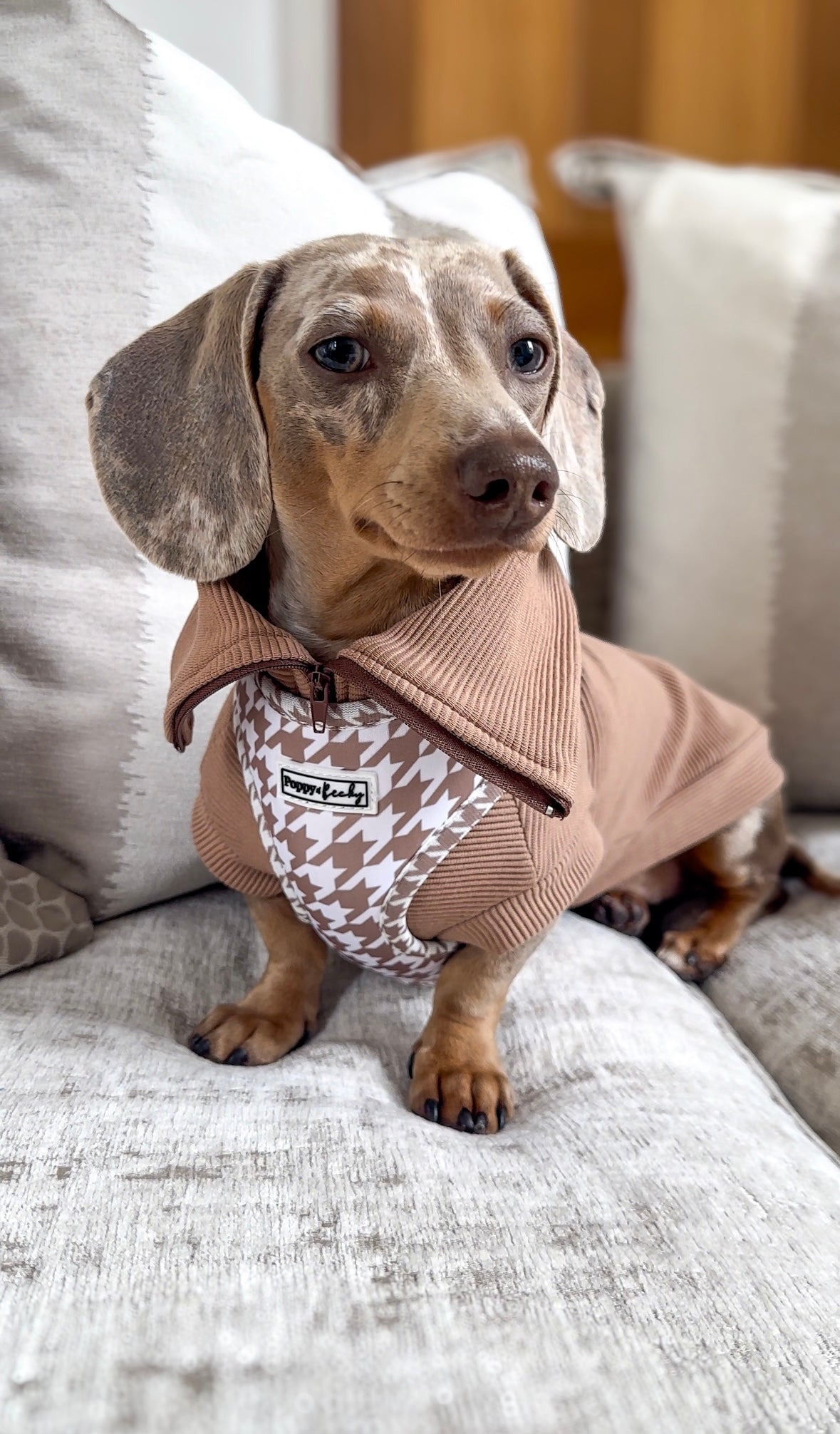 Ribbed Quarter Zip Dachshund Jumper