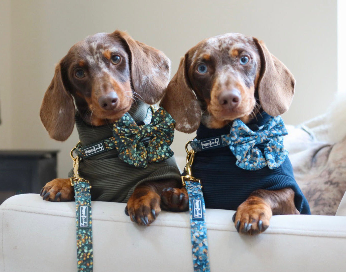 Ribbed Dachshund Jumper Poppy and Becky