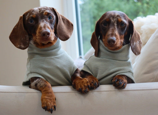 Sage Ribbed Dachshund Jumper - Black Friday Limited Edition