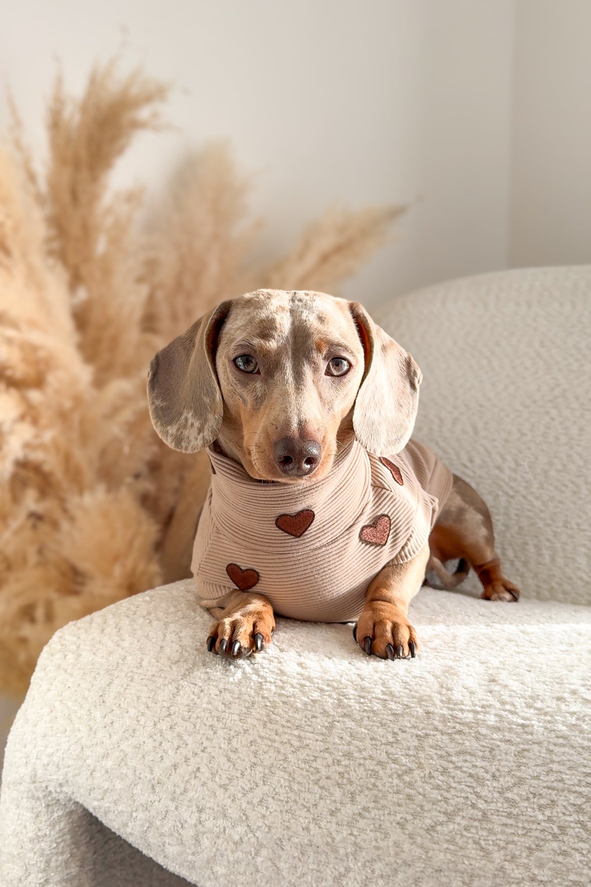 Hearts Ribbed Dachshund Jumper - 2 Week’s Dispatch Time