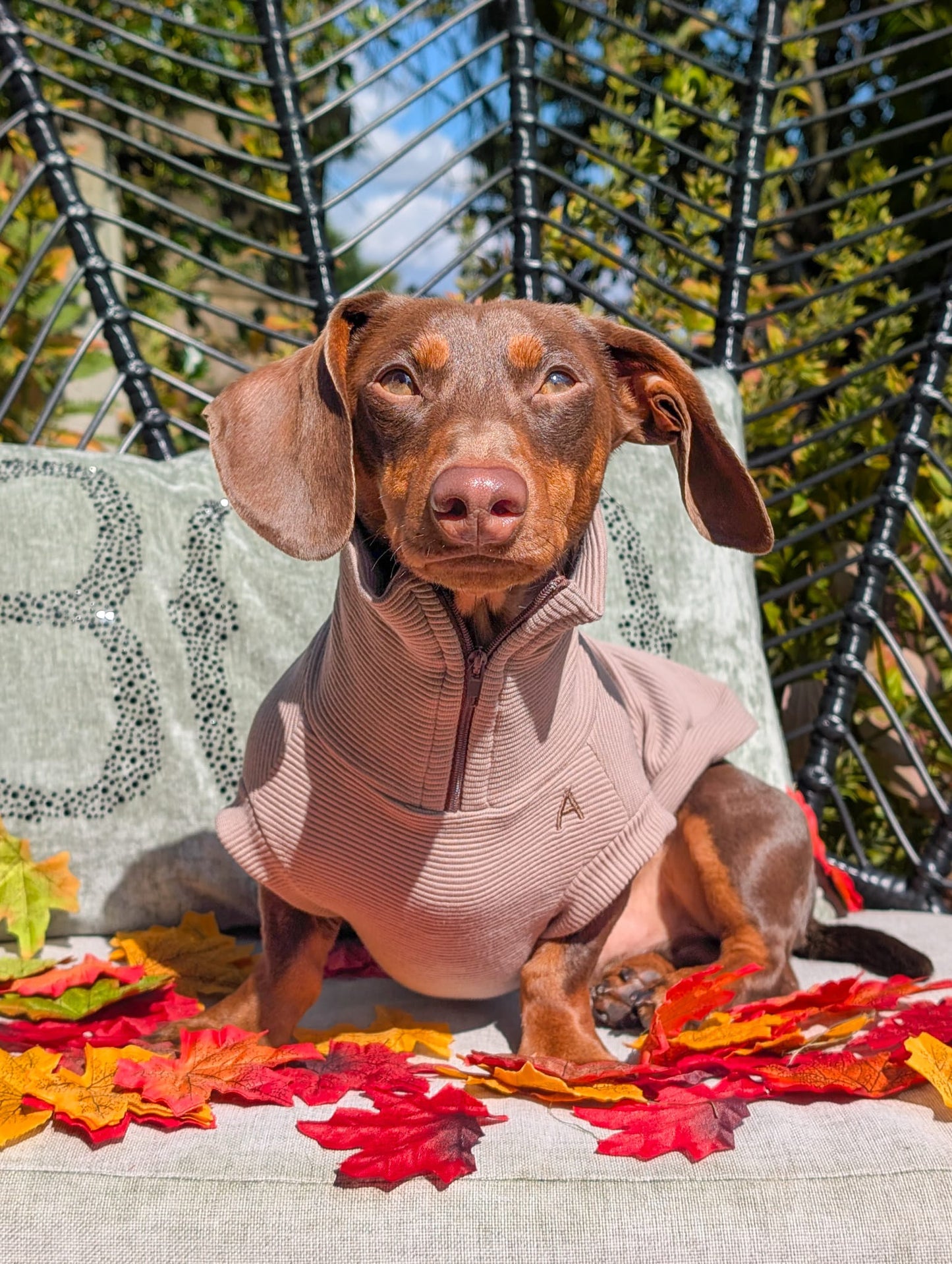 Personalised Dachshund Quarter Zip Jumper