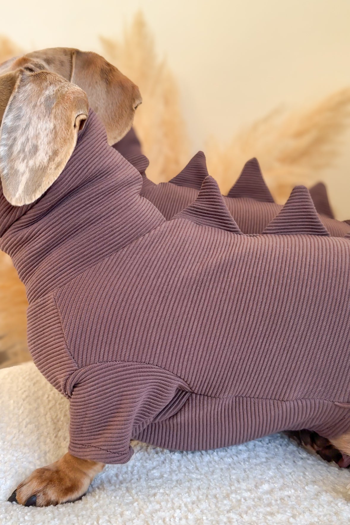 Dinosaur Ribbed Dachshund Bodysuit/Onesie/Four Leg Suit