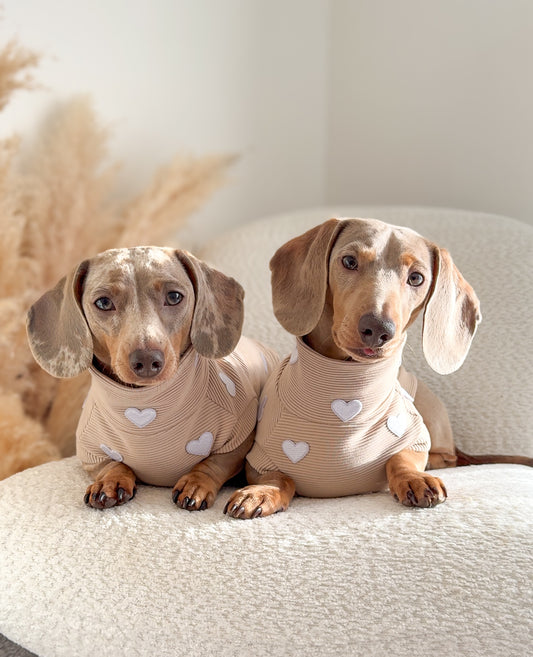 Hearts Ribbed Dachshund Jumper - 2 Week’s Dispatch Time