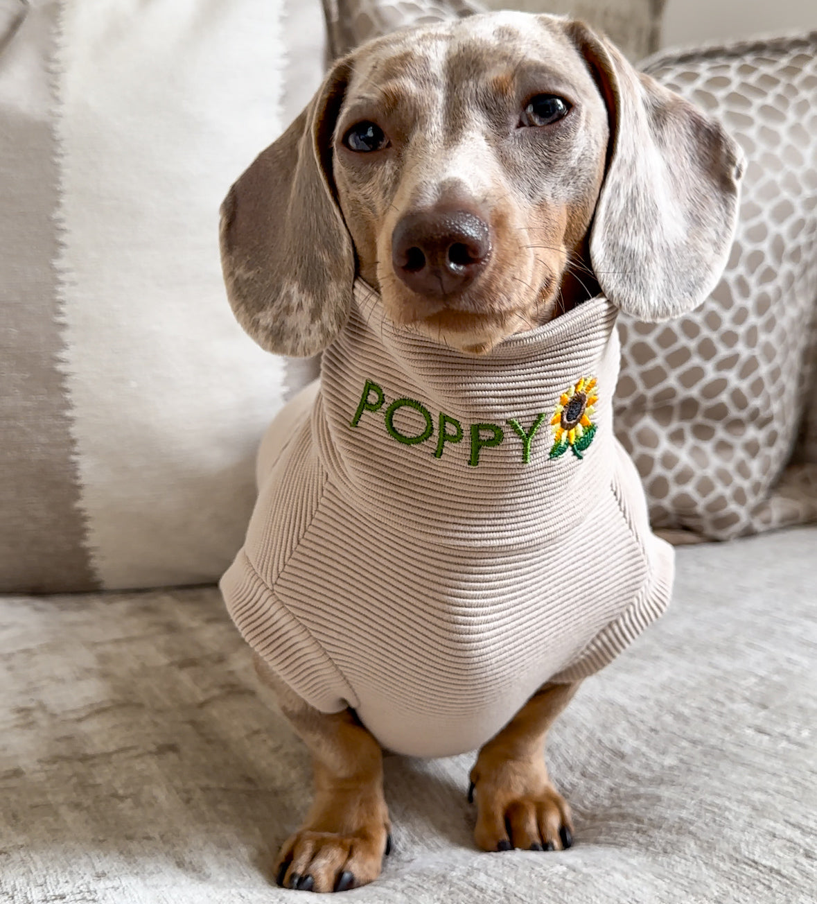 Sunflower Personalised Dachshund Jumper