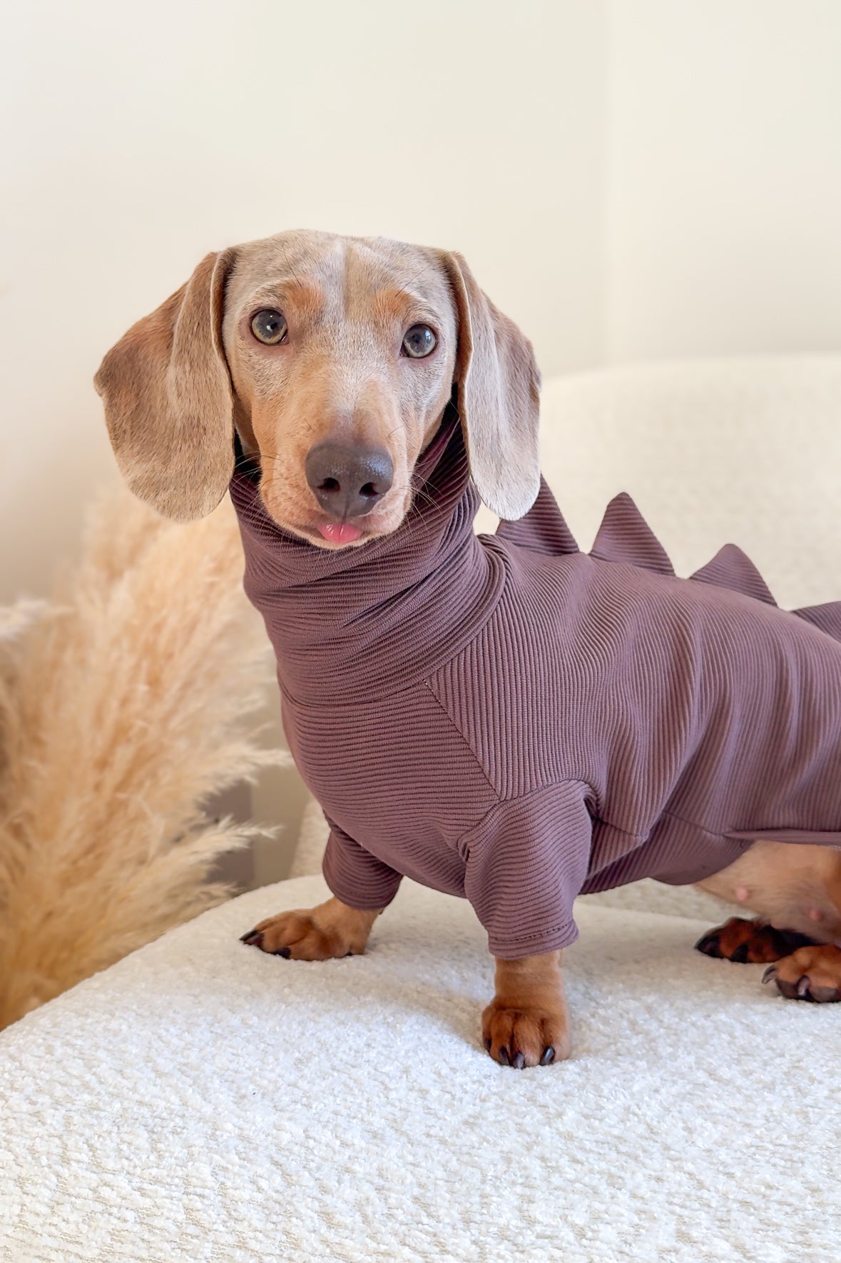 Dinosaur Ribbed Dachshund Bodysuit/Onesie/Four Leg Suit