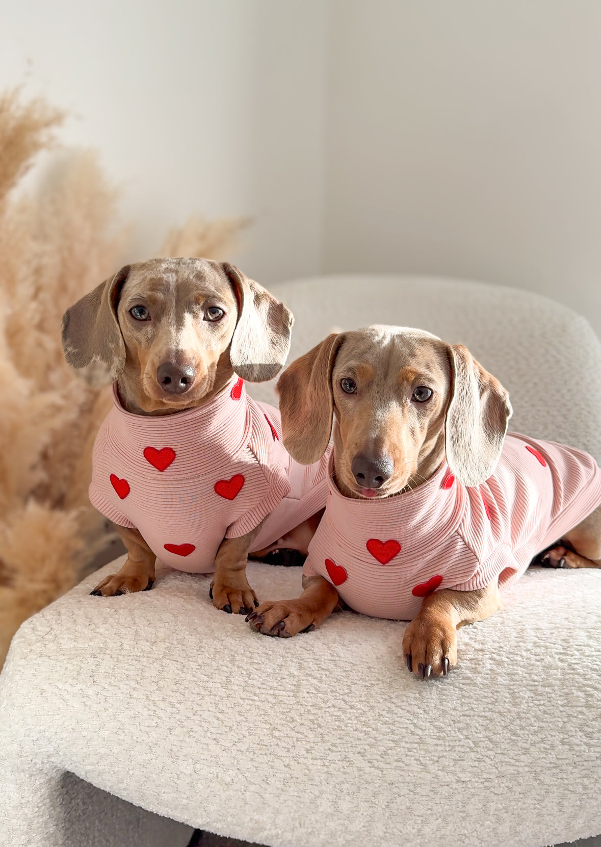 Hearts Ribbed Dachshund Jumper - 2 Week’s Dispatch Time