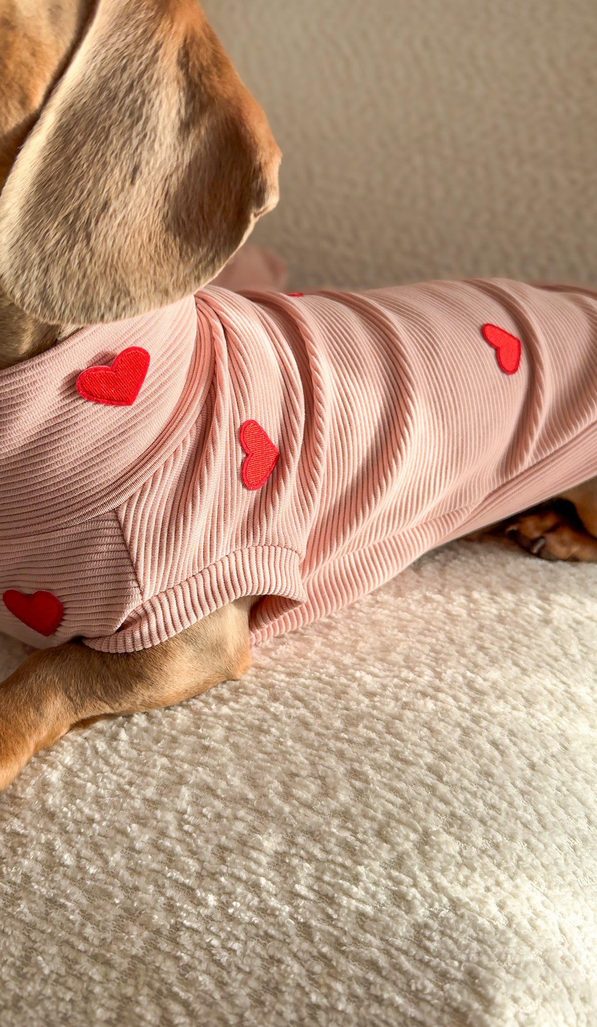 Hearts Ribbed Dachshund Jumper - 2 Week’s Dispatch Time