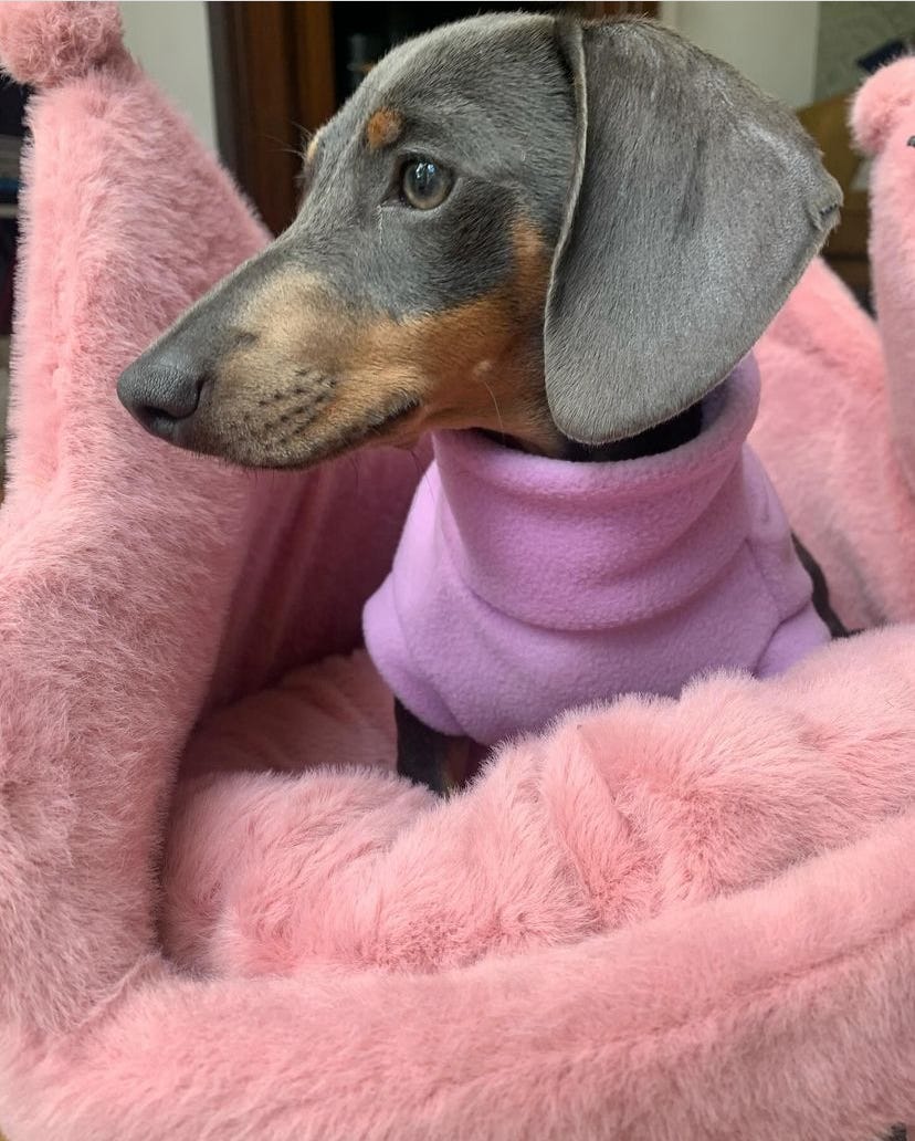 Dachshund Fleece - Leg Cuff