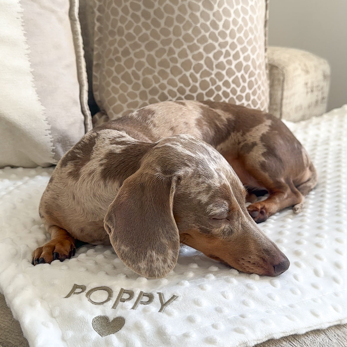 Personalised Embroidered Dog/Puppy Blanket