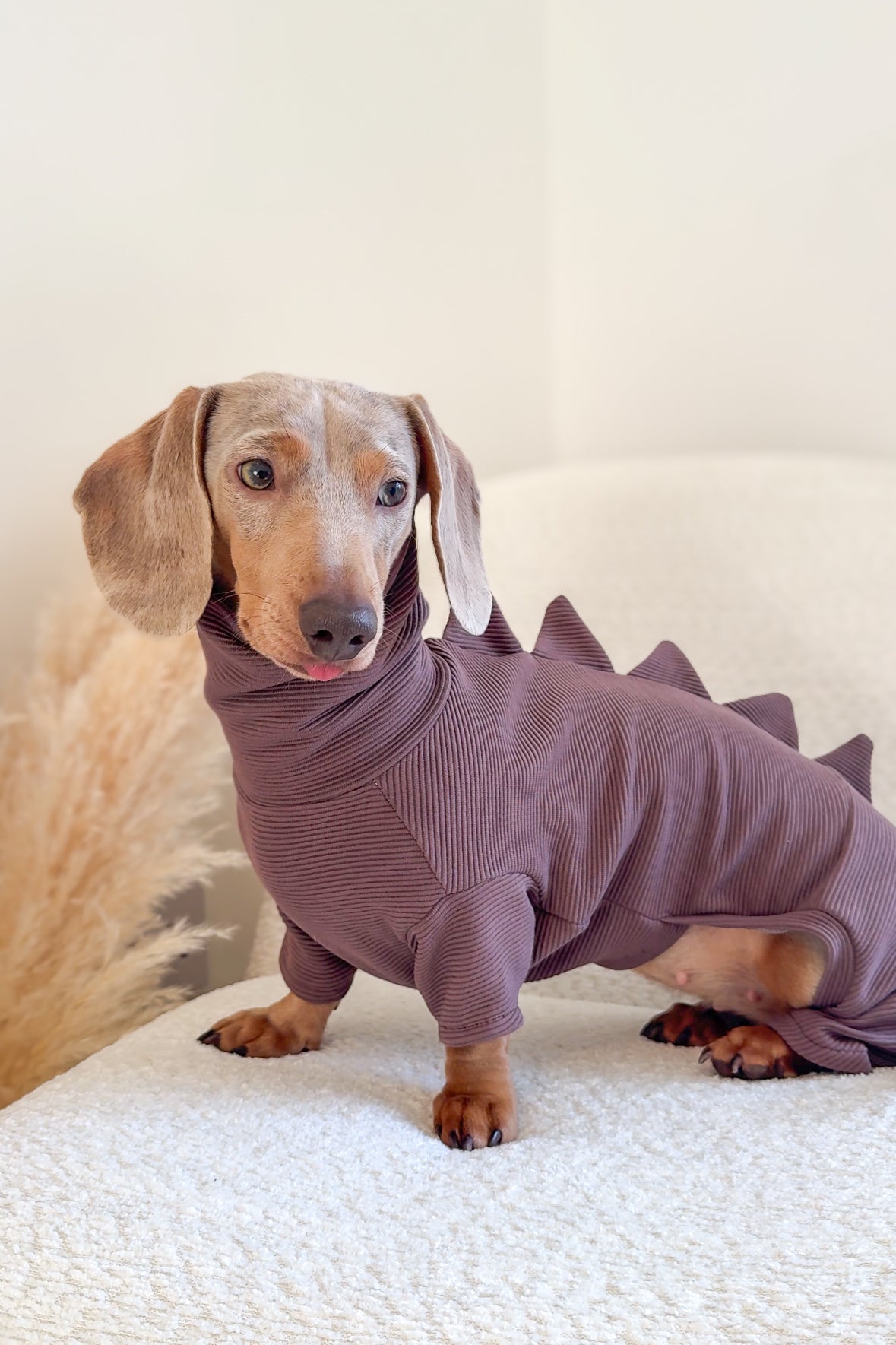 Dinosaur Ribbed Dachshund Bodysuit/Onesie/Four Leg Suit