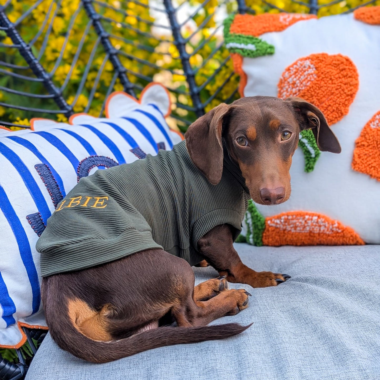 Personalised Back Dachshund Jumper