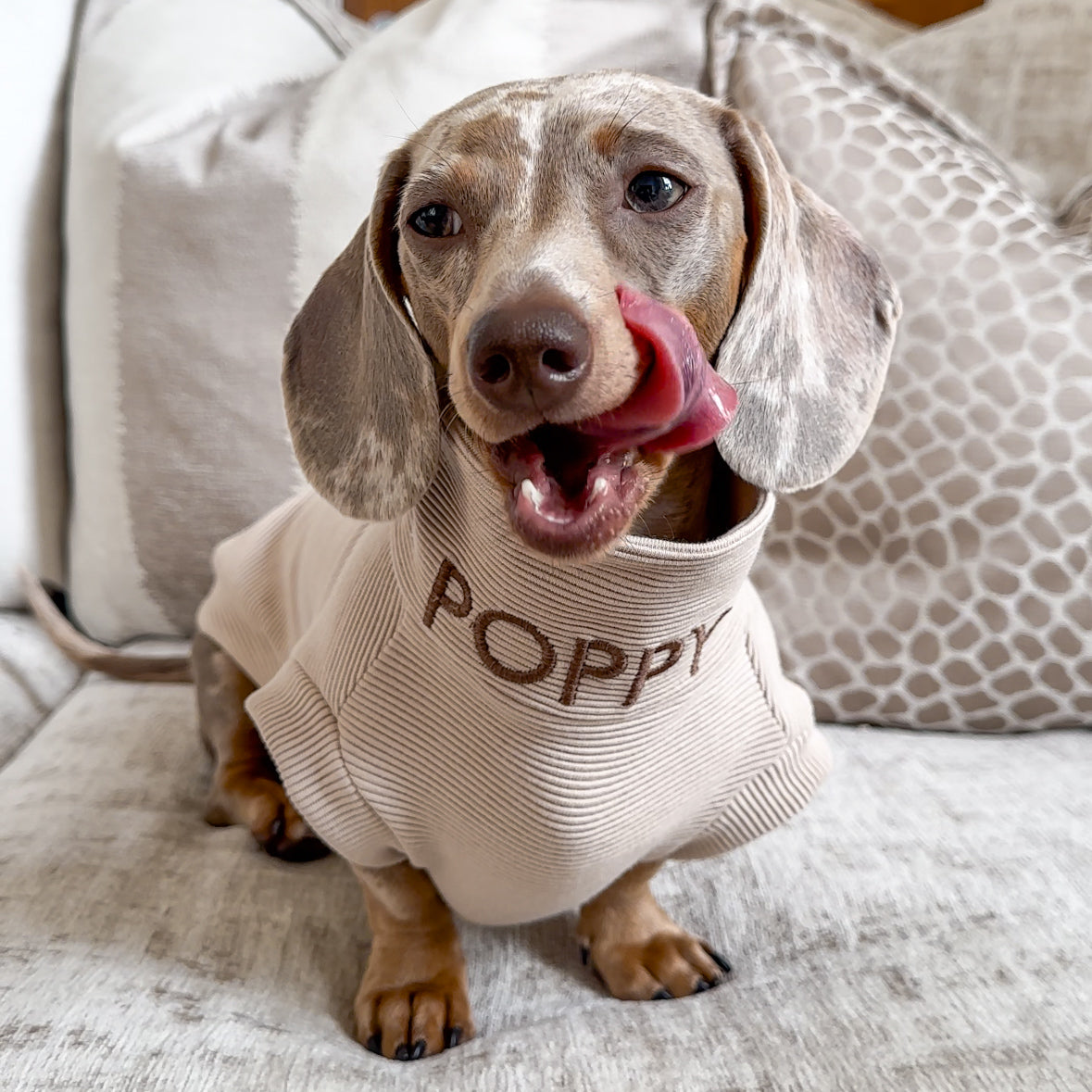 Personalised Dachshund Jumper - Neck Embroidery