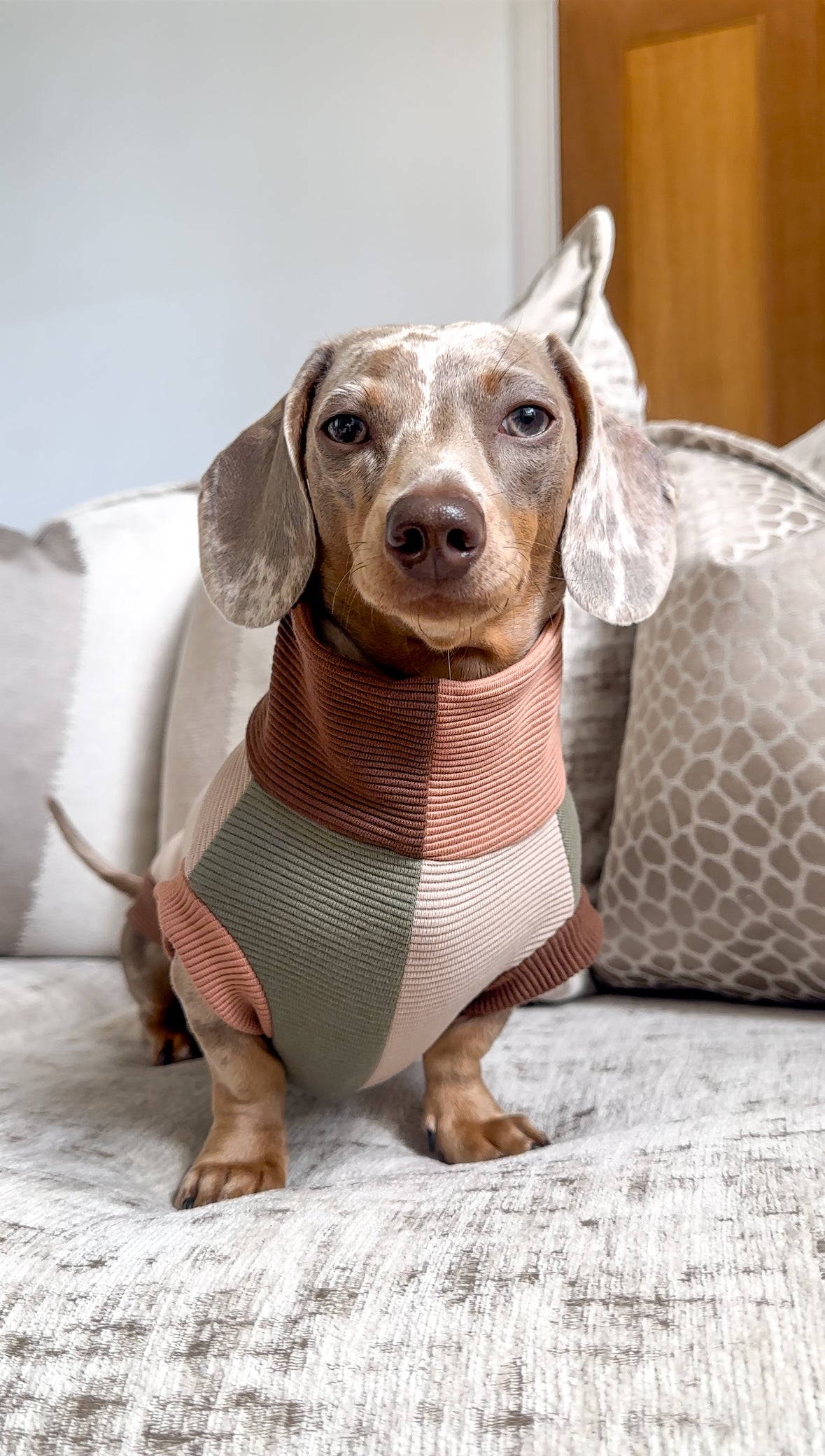 Patchwork Ribbed Dachshund Jumper