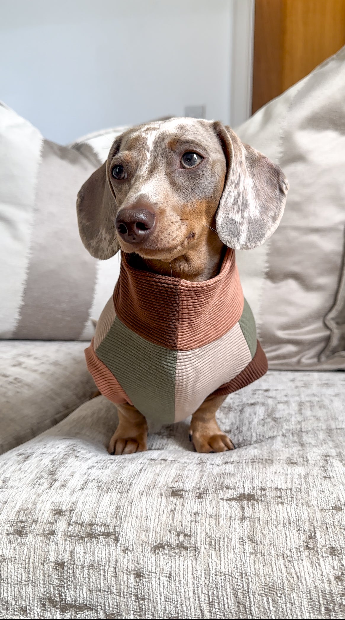 Patchwork Ribbed Dachshund Jumper Poppy and Becky