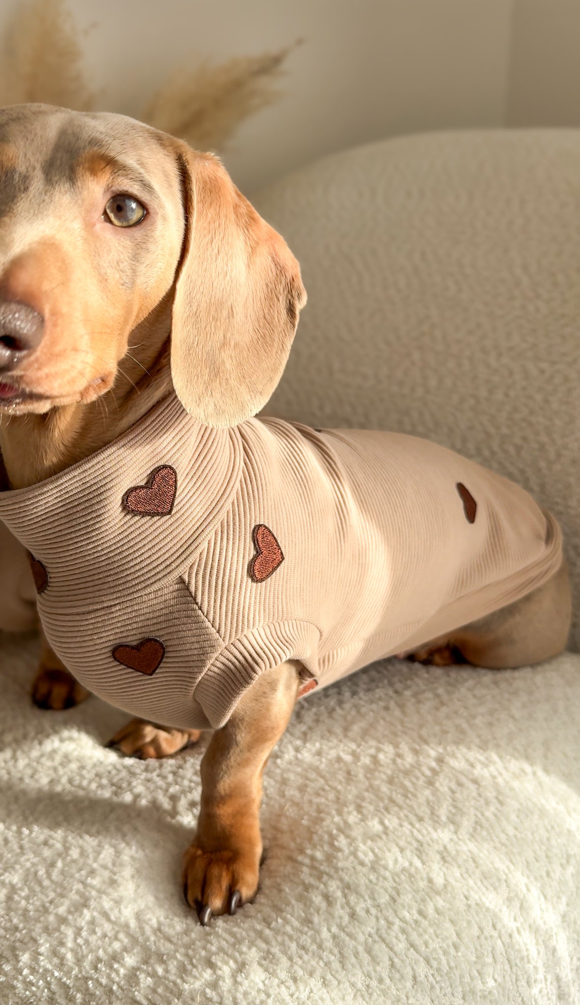 Hearts Ribbed Dachshund Jumper - 2 Week’s Dispatch Time