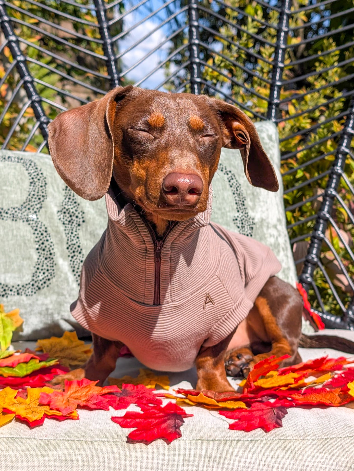 Personalised Dachshund Quarter Zip Jumper