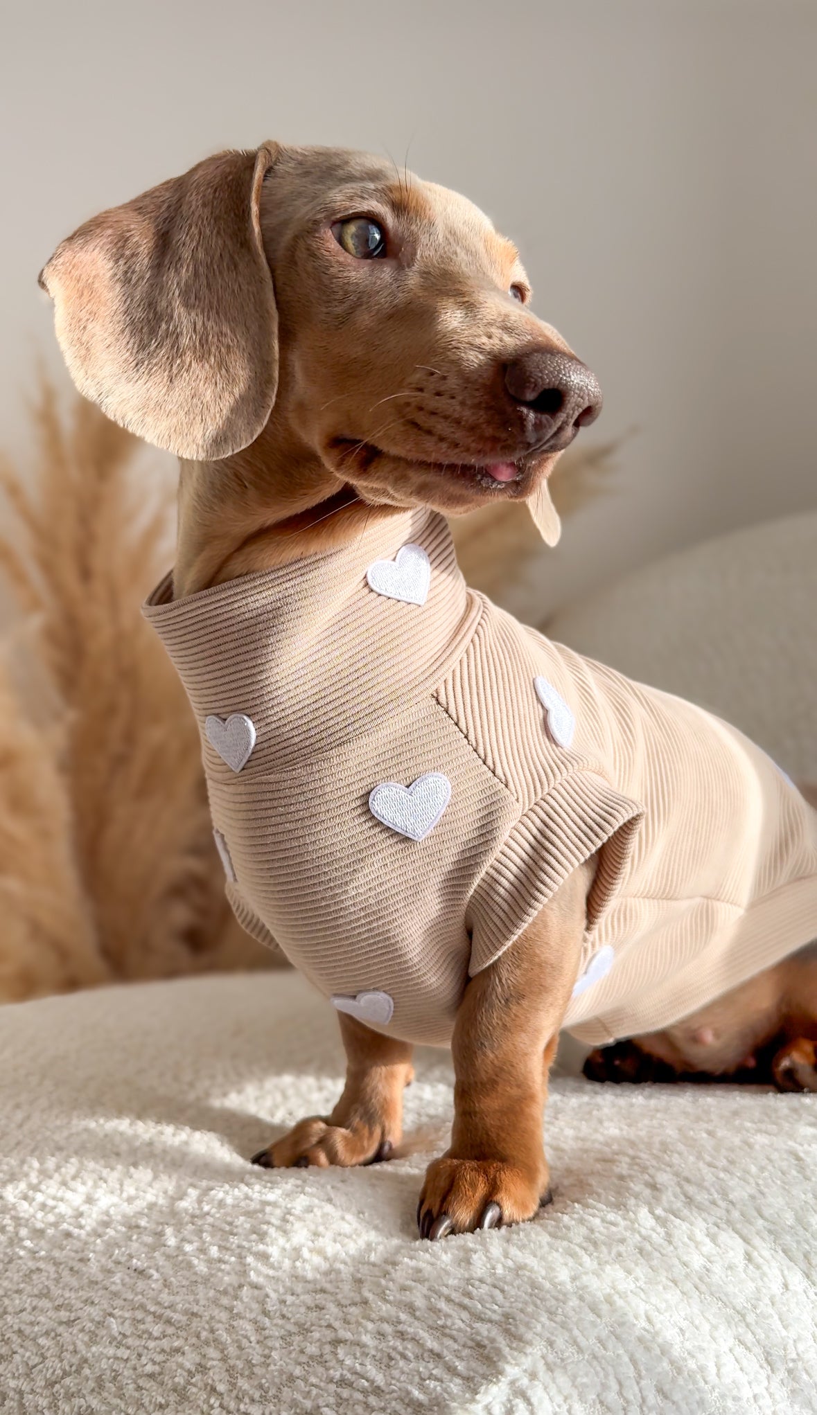 Hearts Ribbed Dachshund Jumper - 2 Week’s Dispatch Time