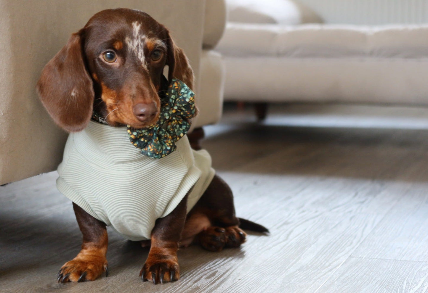 Sage Ribbed Dachshund Jumper - Black Friday Limited Edition