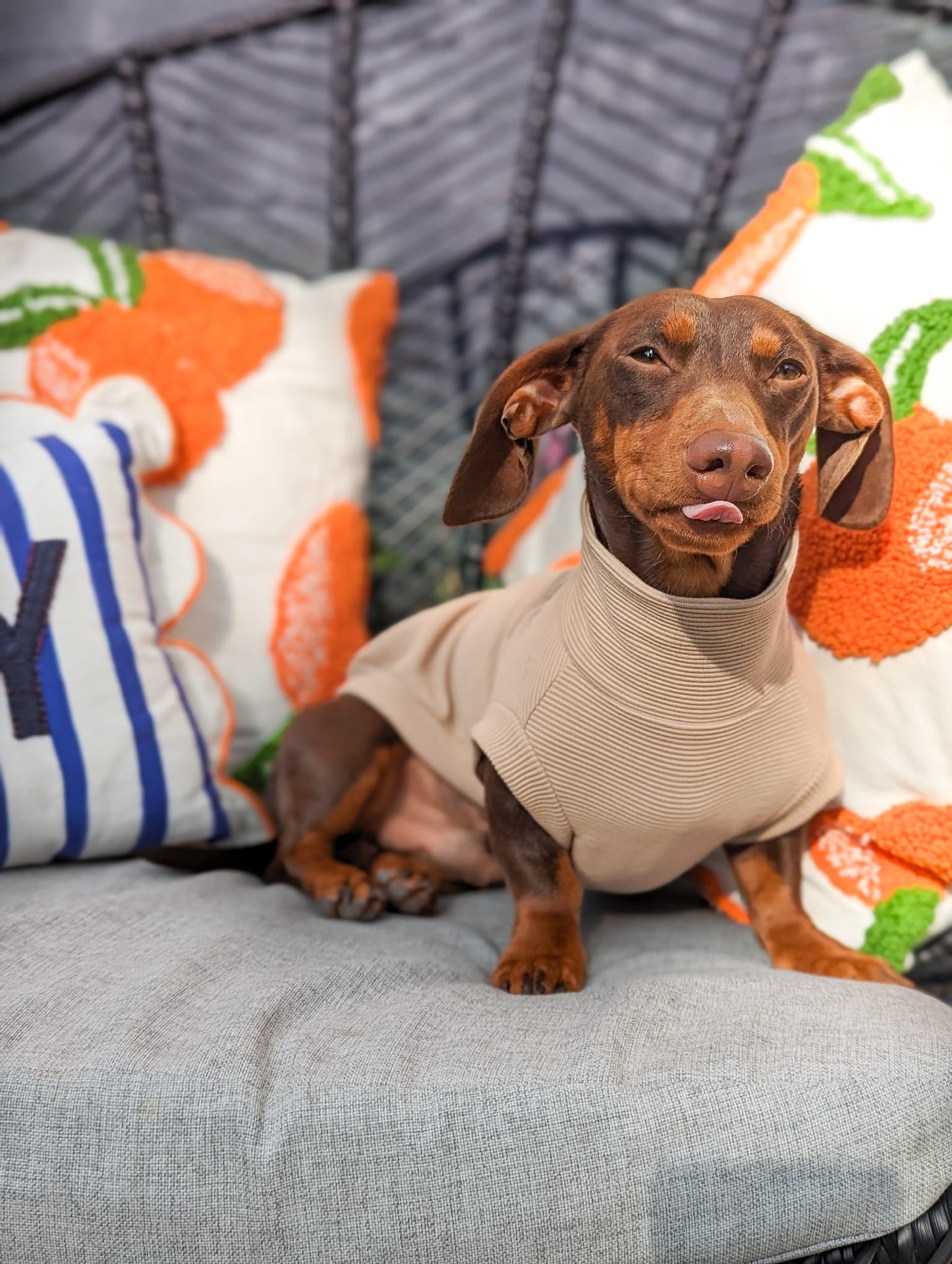 Ribbed Dachshund Jumper