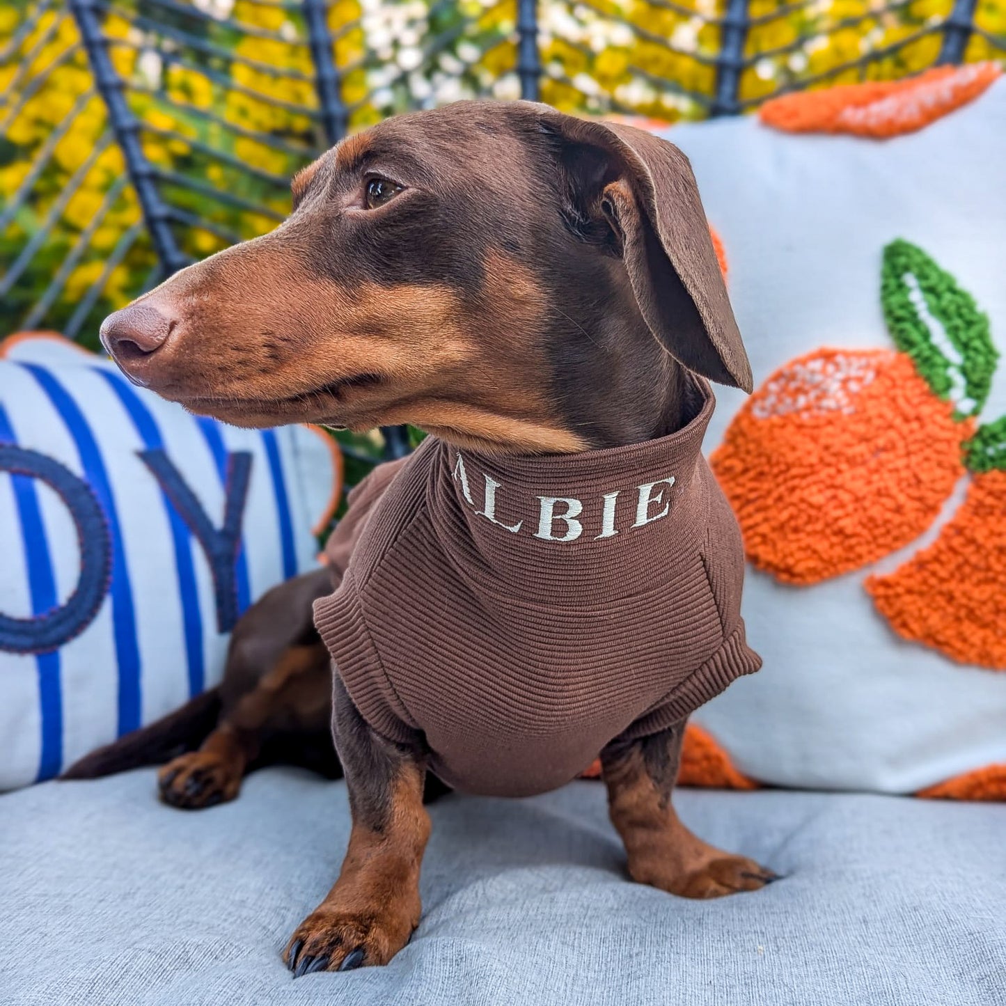 Personalised Dachshund Jumper - Neck Embroidery