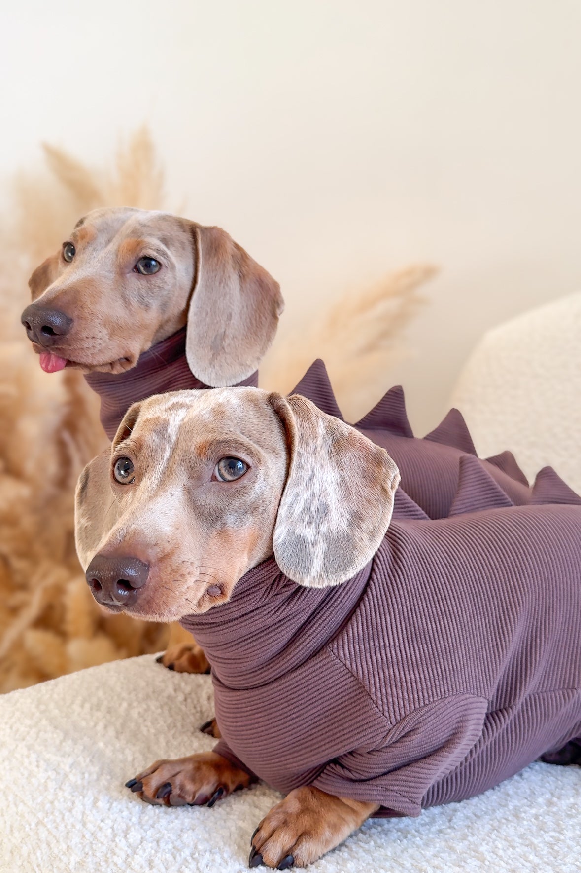 Dinosaur Ribbed Dachshund Bodysuit/Onesie/Four Leg Suit
