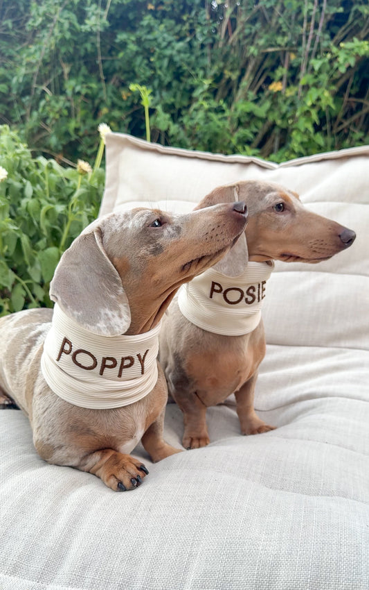 Personalised Ribbed Dog Snood