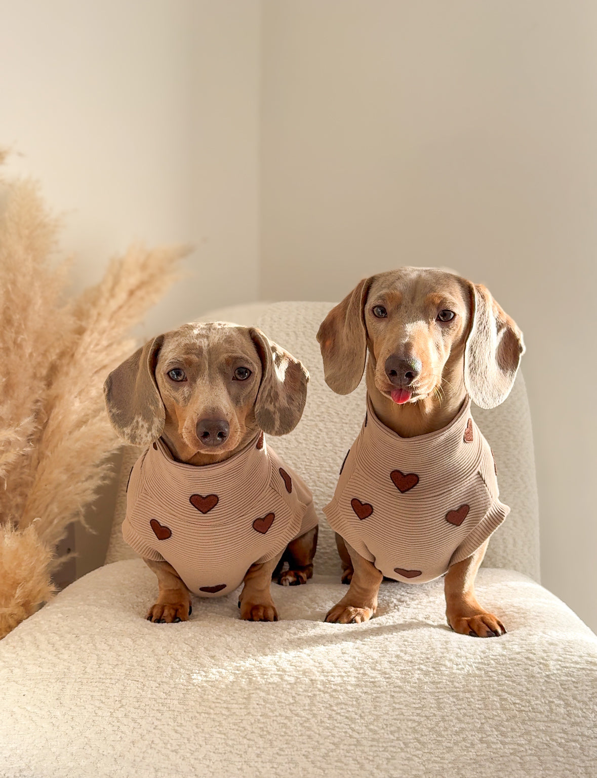 Hearts Ribbed Dachshund Jumper - 2 Week’s Dispatch Time