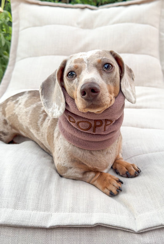 Personalised Fleece Dog Snood