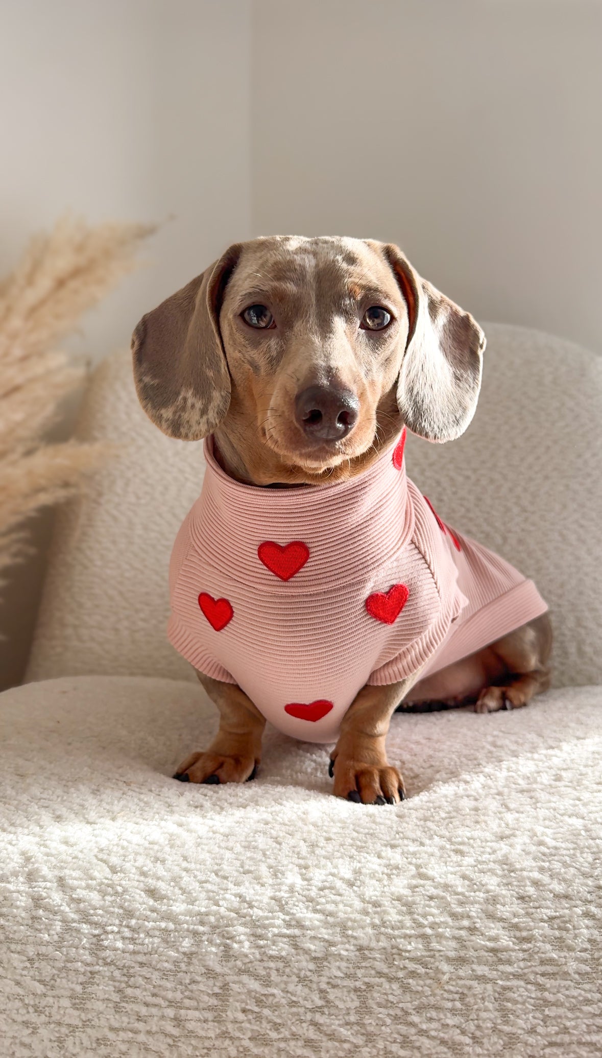 Hearts Ribbed Dachshund Jumper - 2 Week’s Dispatch Time