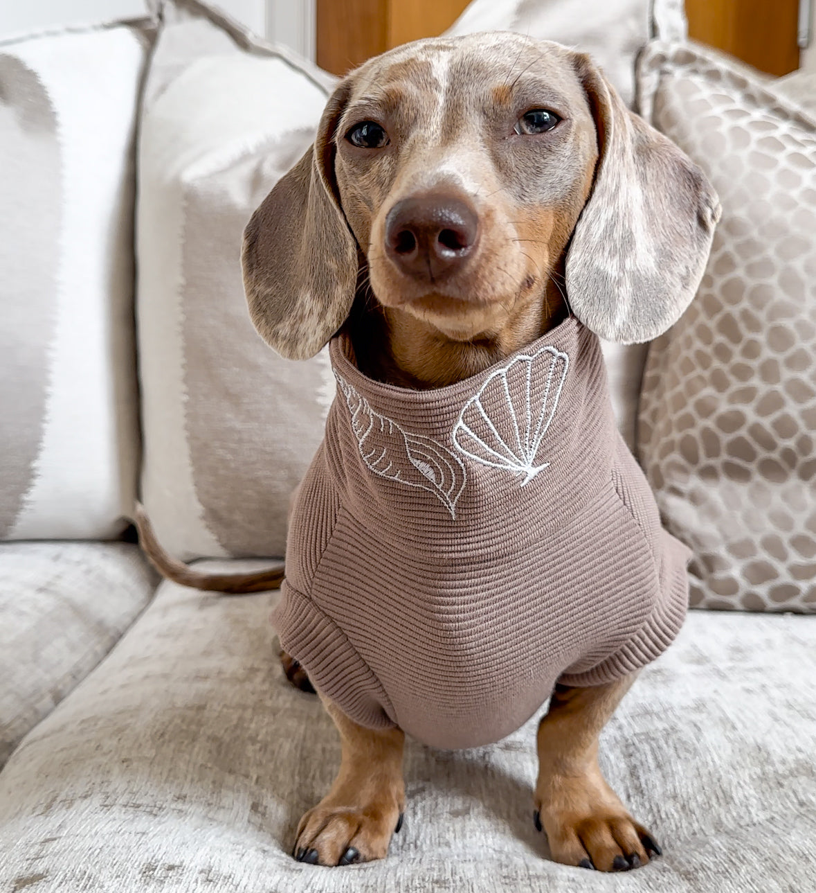 Seashells Personalised Dachshund Jumper