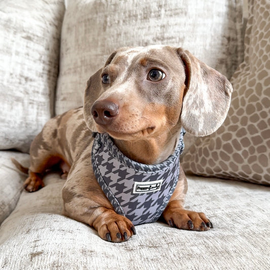 Charcoal Houndstooth Adjustable Neck Harness