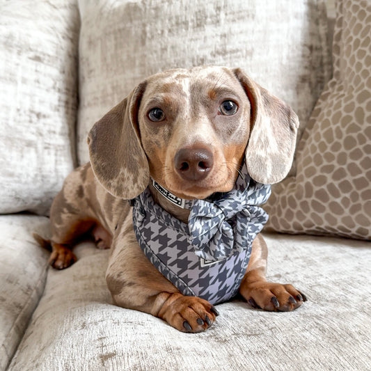 Charcoal Houndstooth - Sailor Bow