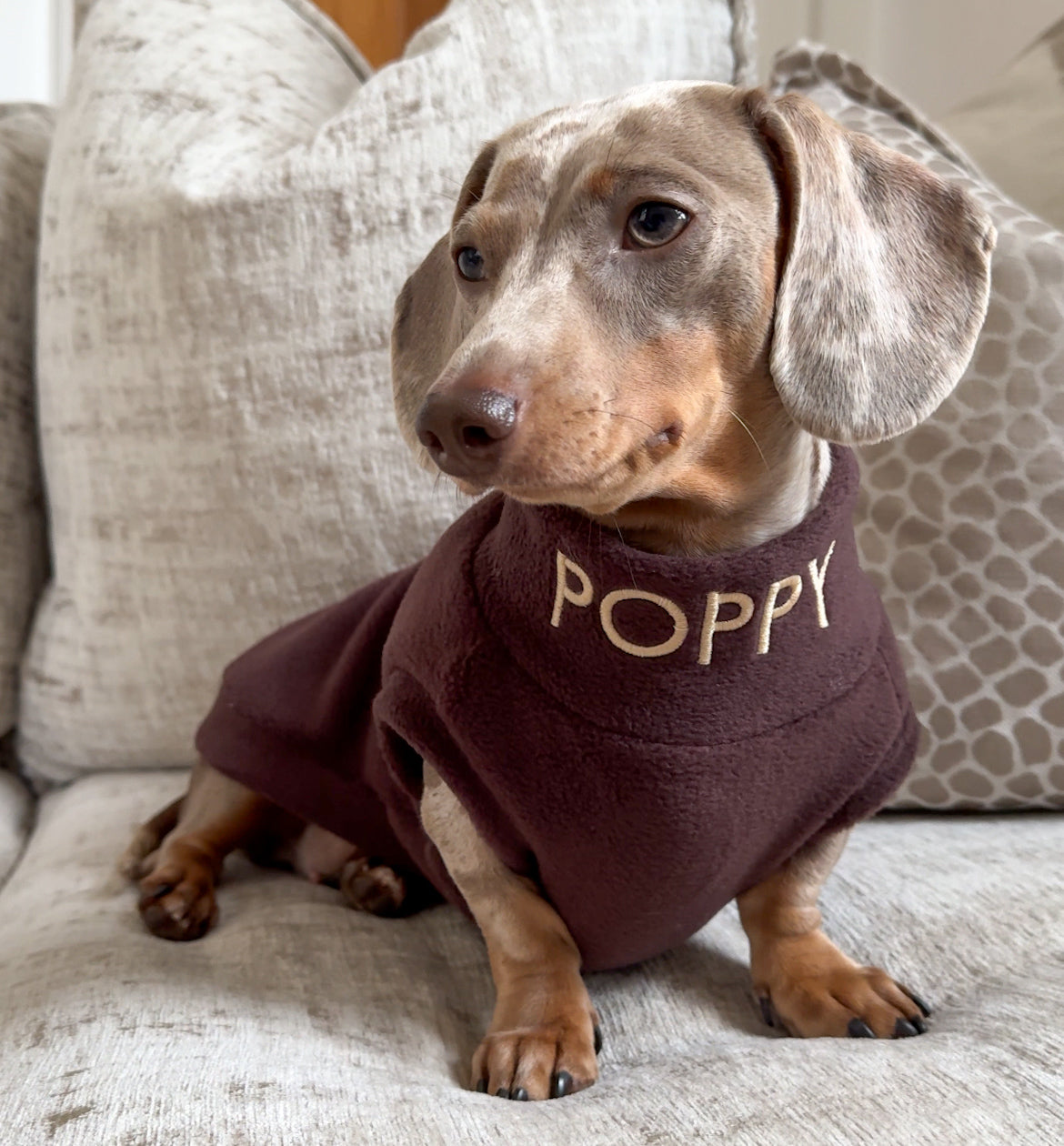 Personalised Dachshund Fleece - Neck Embroidery