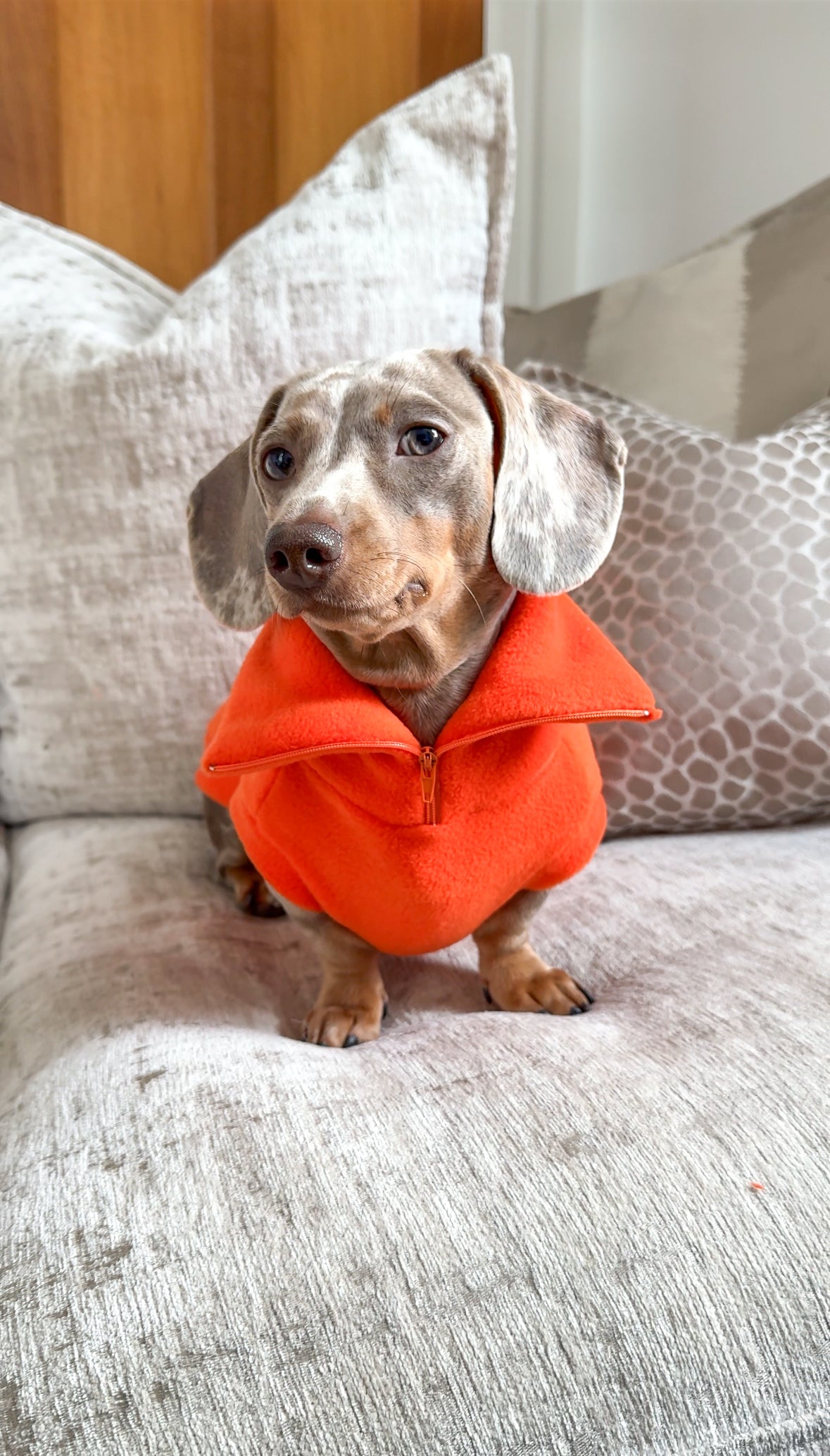 Dachshund Quarter Zip Fleece