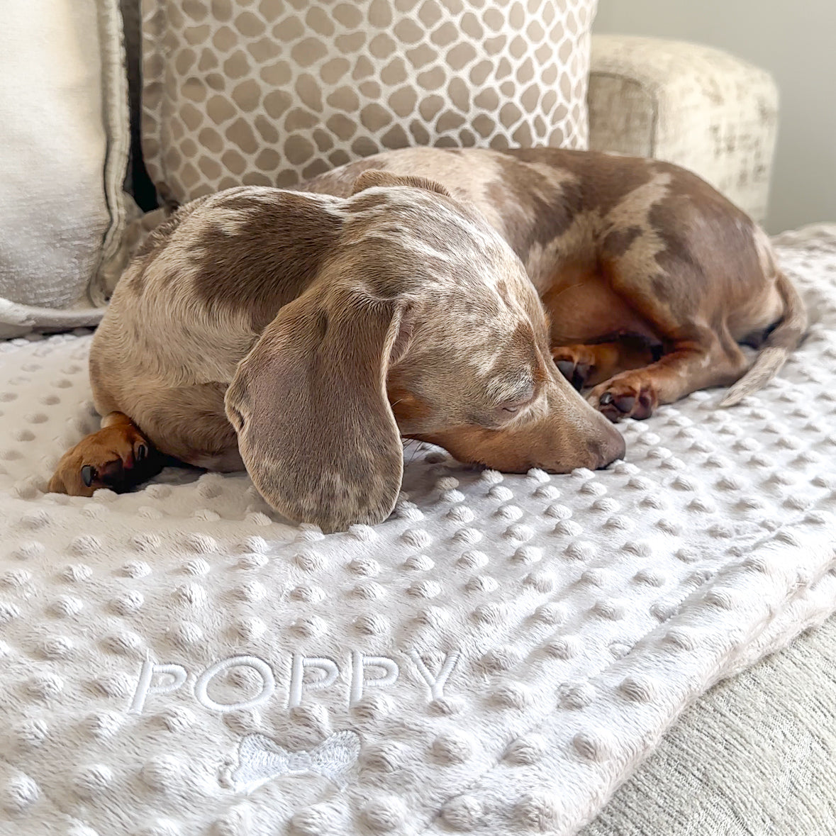 Personalised Embroidered Dog/Puppy Blanket