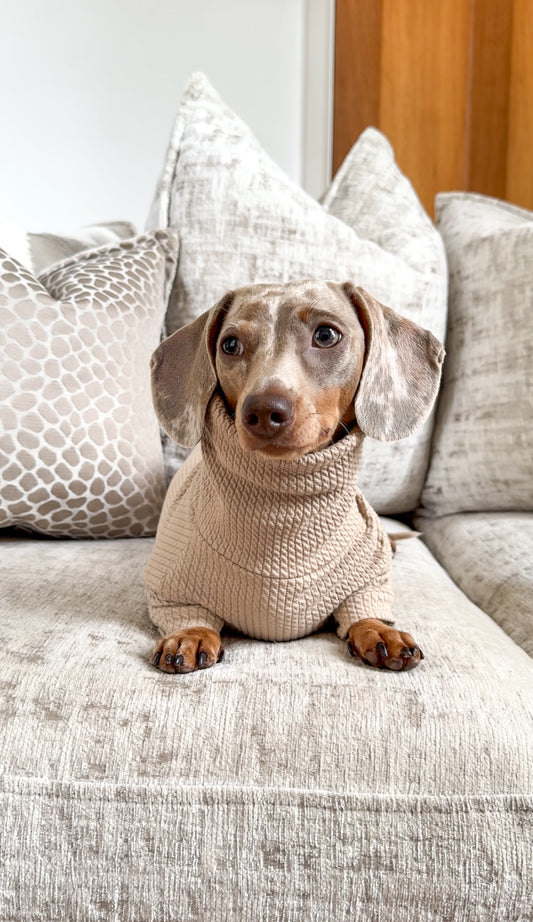 Dachshund jumper / sausage dog jumper / dachshie clothes / sausage dog turtleneck / sausage dog outfits / sausage dog clothing 