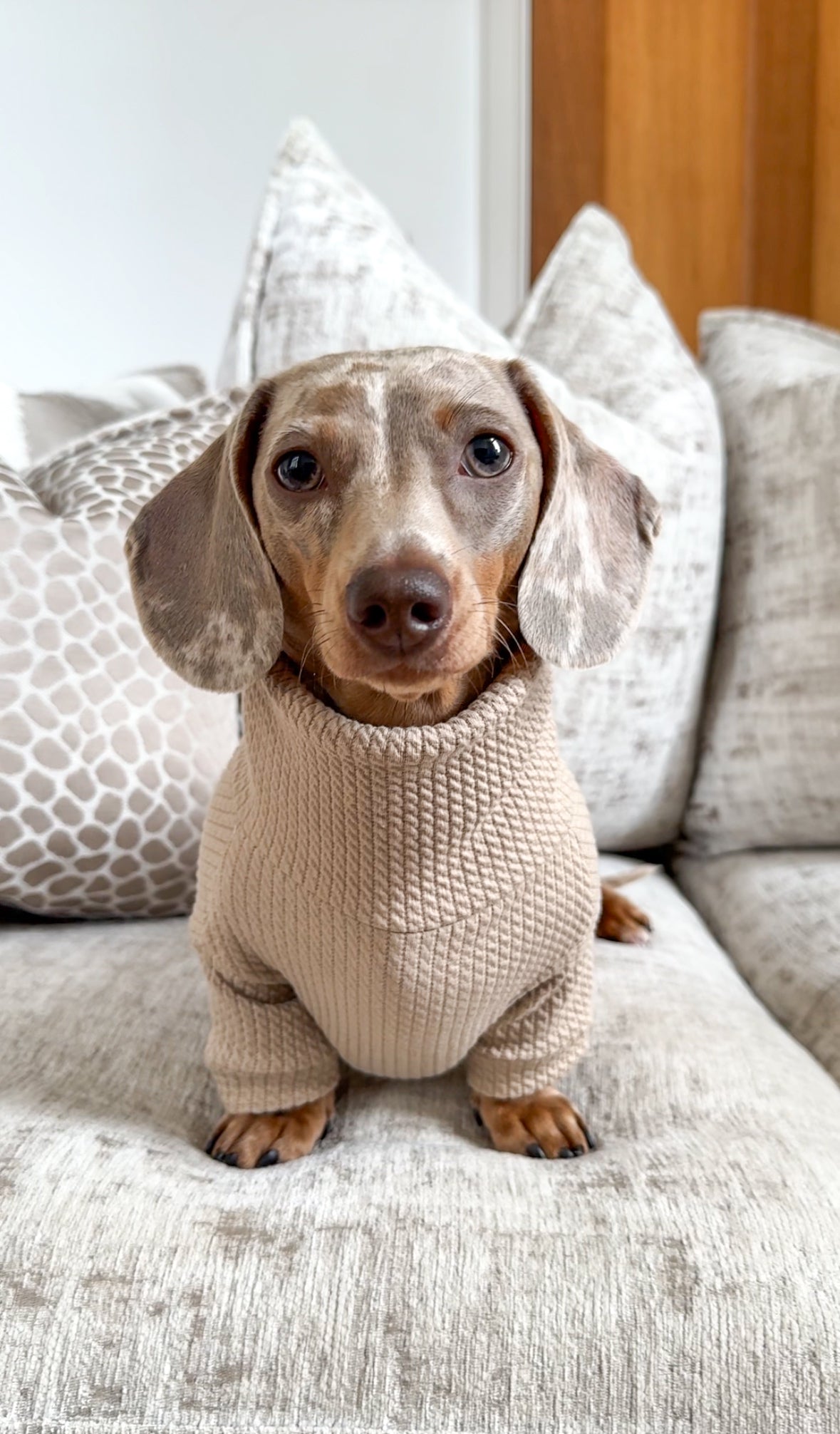 Cable Knit Dachshund Turtleneck