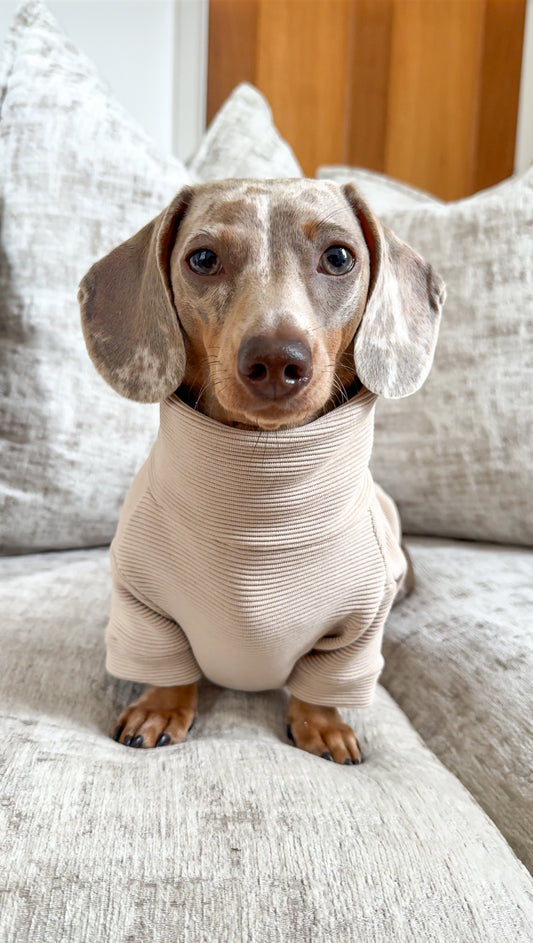 Sausage dog jumper / sausage dog puppy clothes / dachshund turtleneck / dachshund jumper 