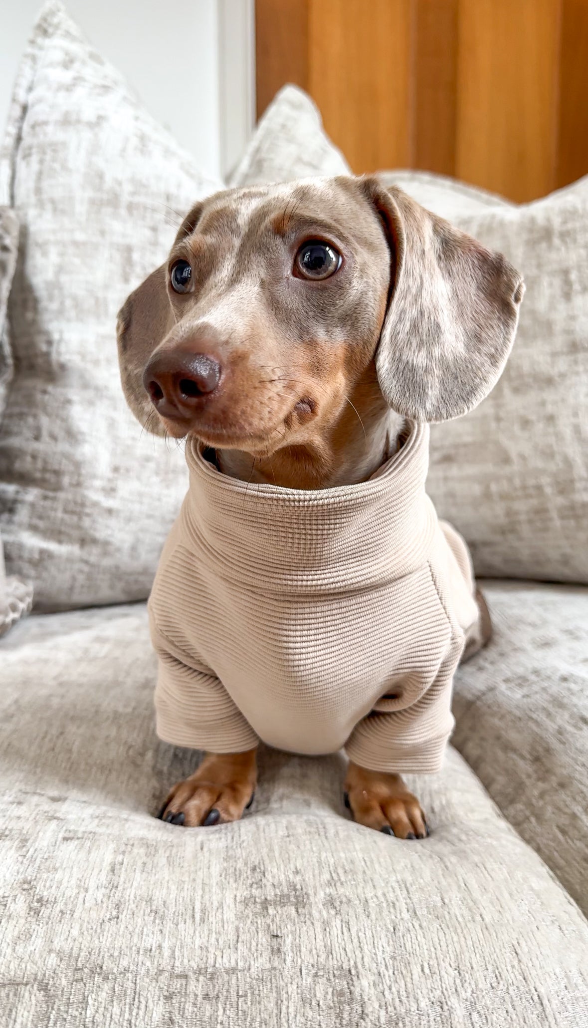 Ribbed Dachshund Turtleneck