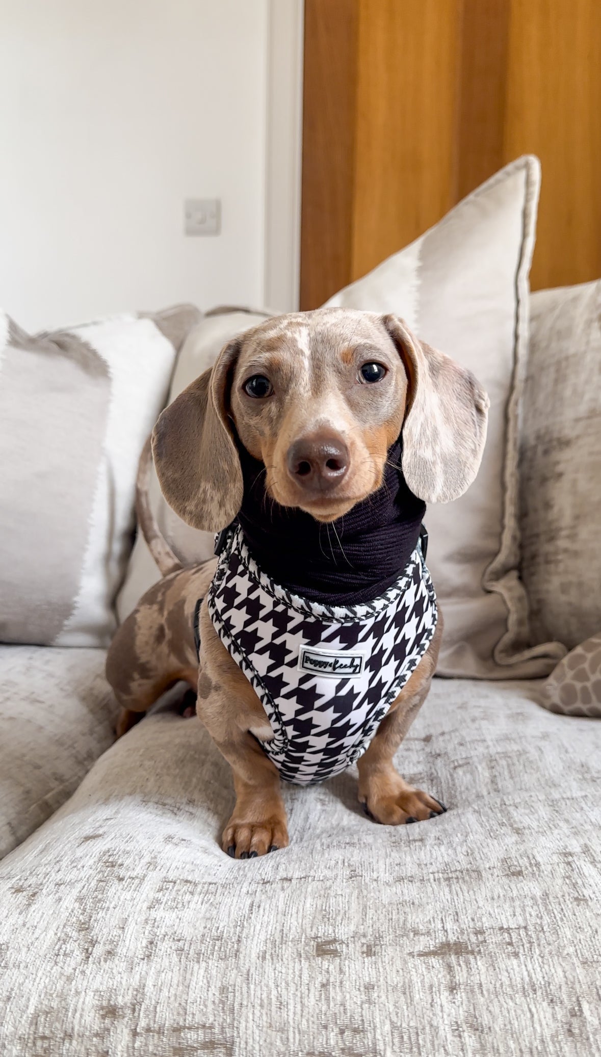 Black Houndstooth - Poo Bag Holder