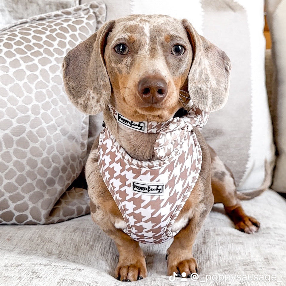 Tan Houndstooth - Adjustable Neck Harness